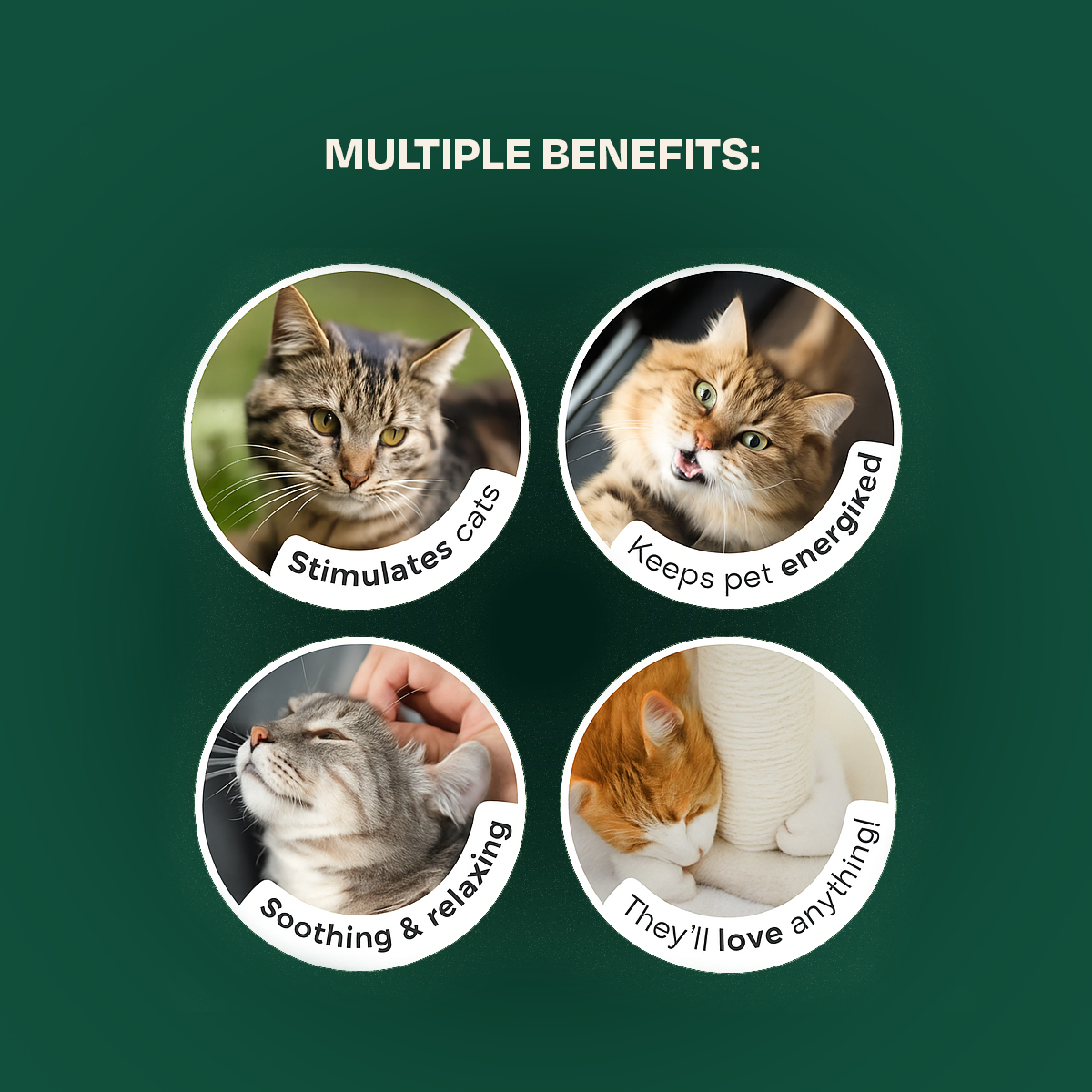 Cat Cupid Spray - BUY ONE GET ONE FREE