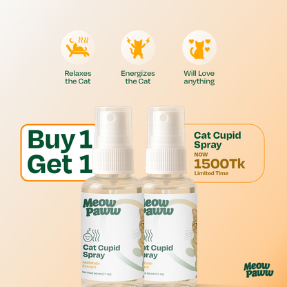 Cat Cupid Spray - BUY ONE GET ONE FREE