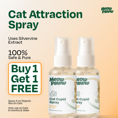 Cat Cupid Spray - BUY ONE GET ONE FREE