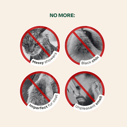 Cat Shampoo - Buy one Get one FREE