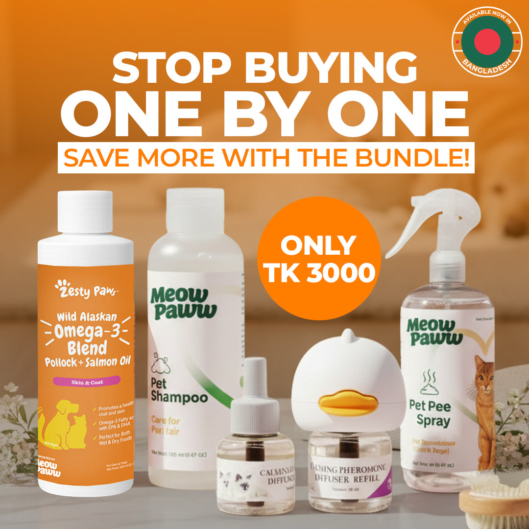 4-in-1 Cat Care Routine Bundle