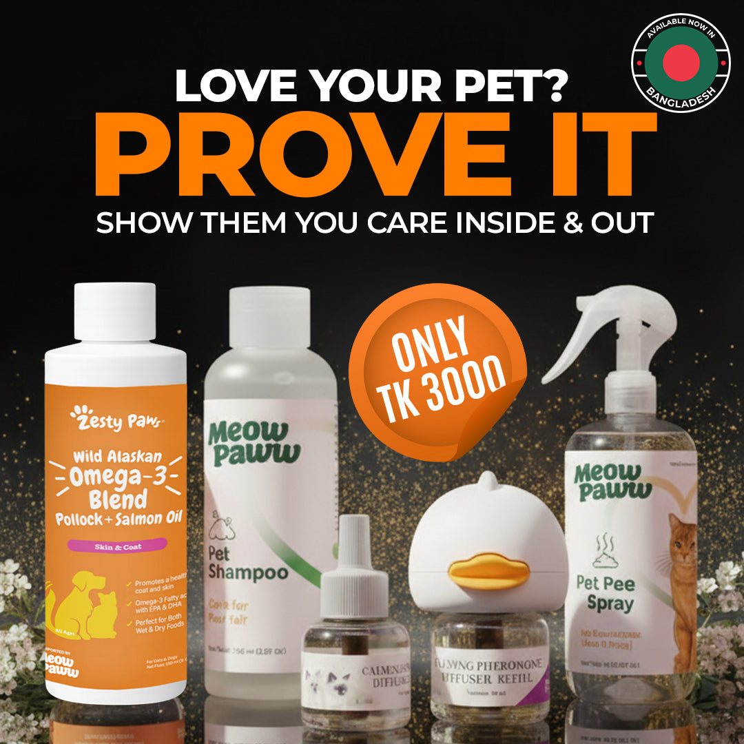4-in-1 Cat Care Routine Bundle