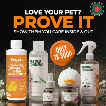 4-in-1 Cat Care Routine Bundle