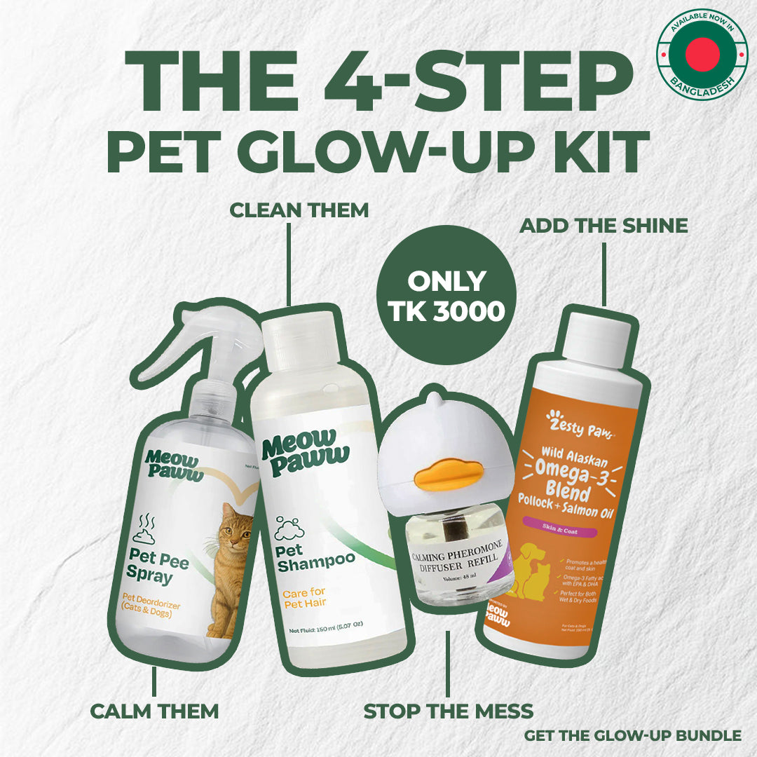 4-in-1 Cat Care Routine Bundle
