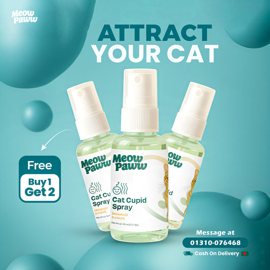 Cat Cupid Spray